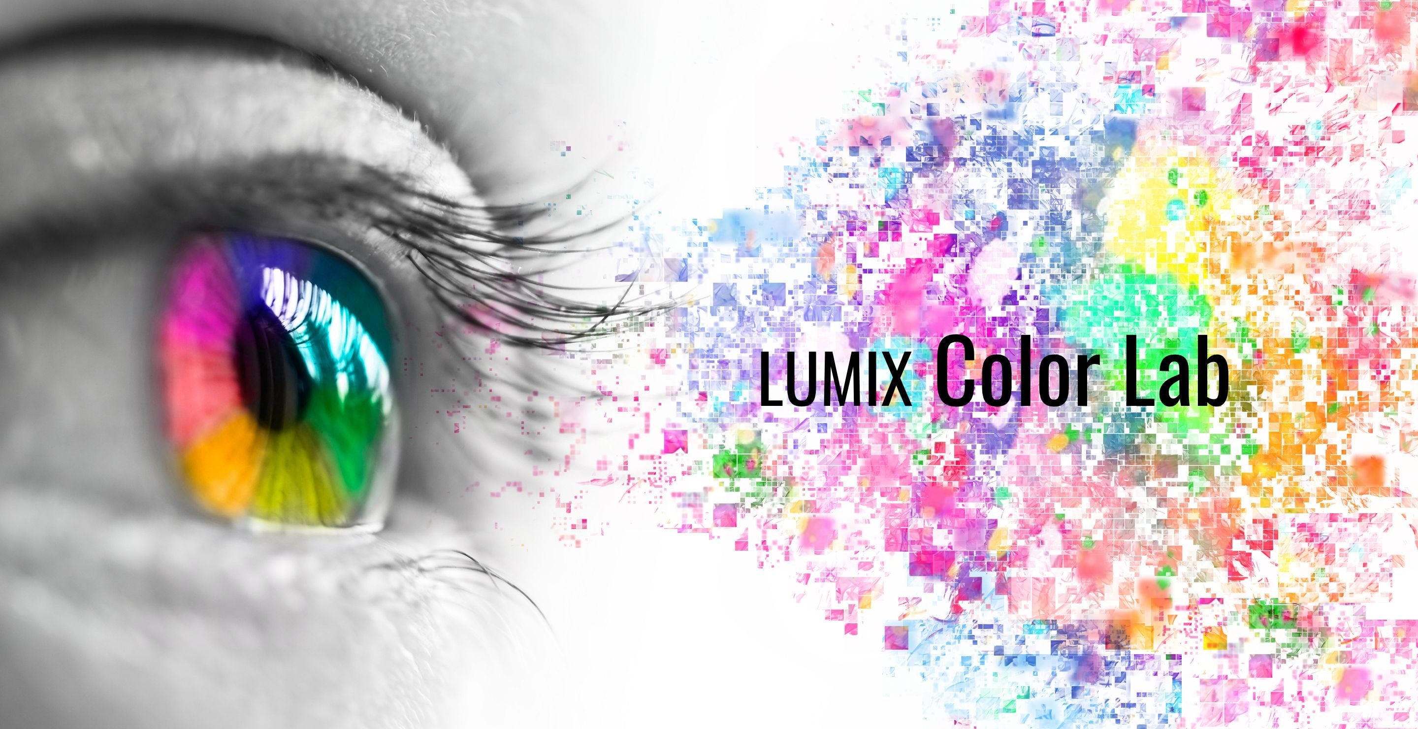 LUMIX Color Lab