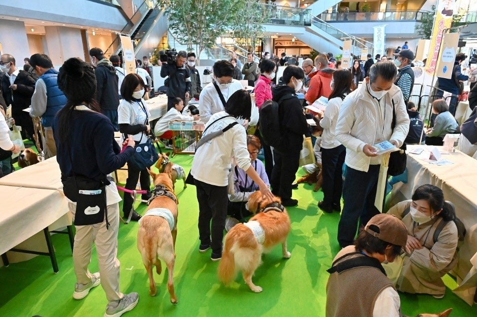譲渡会エリアで保護犬とふれあいながら保護団体スタッフの話を聞く来場者