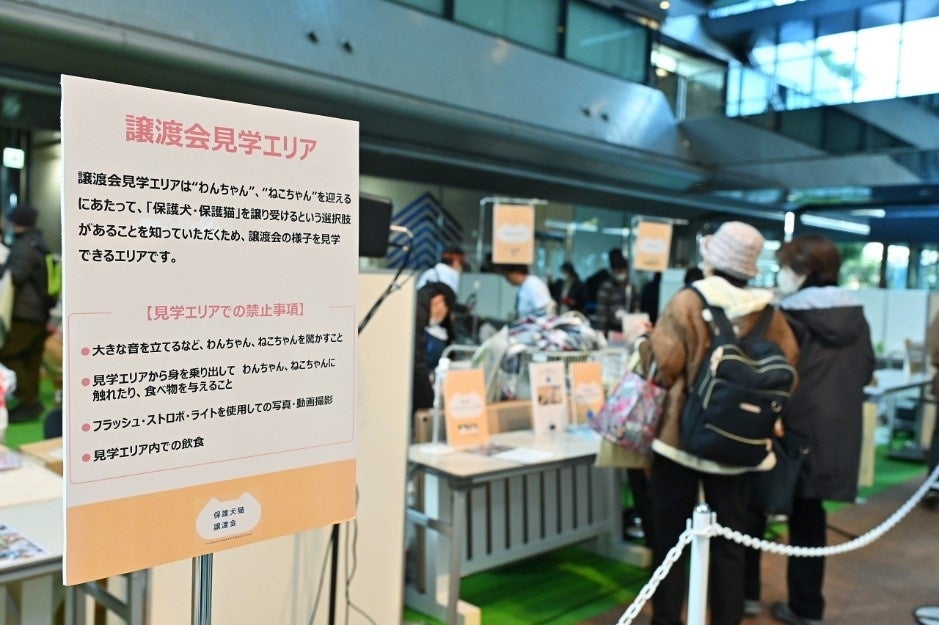 譲渡会エリアの予約チケットを持たない方も入れる「見学エリア」も用意