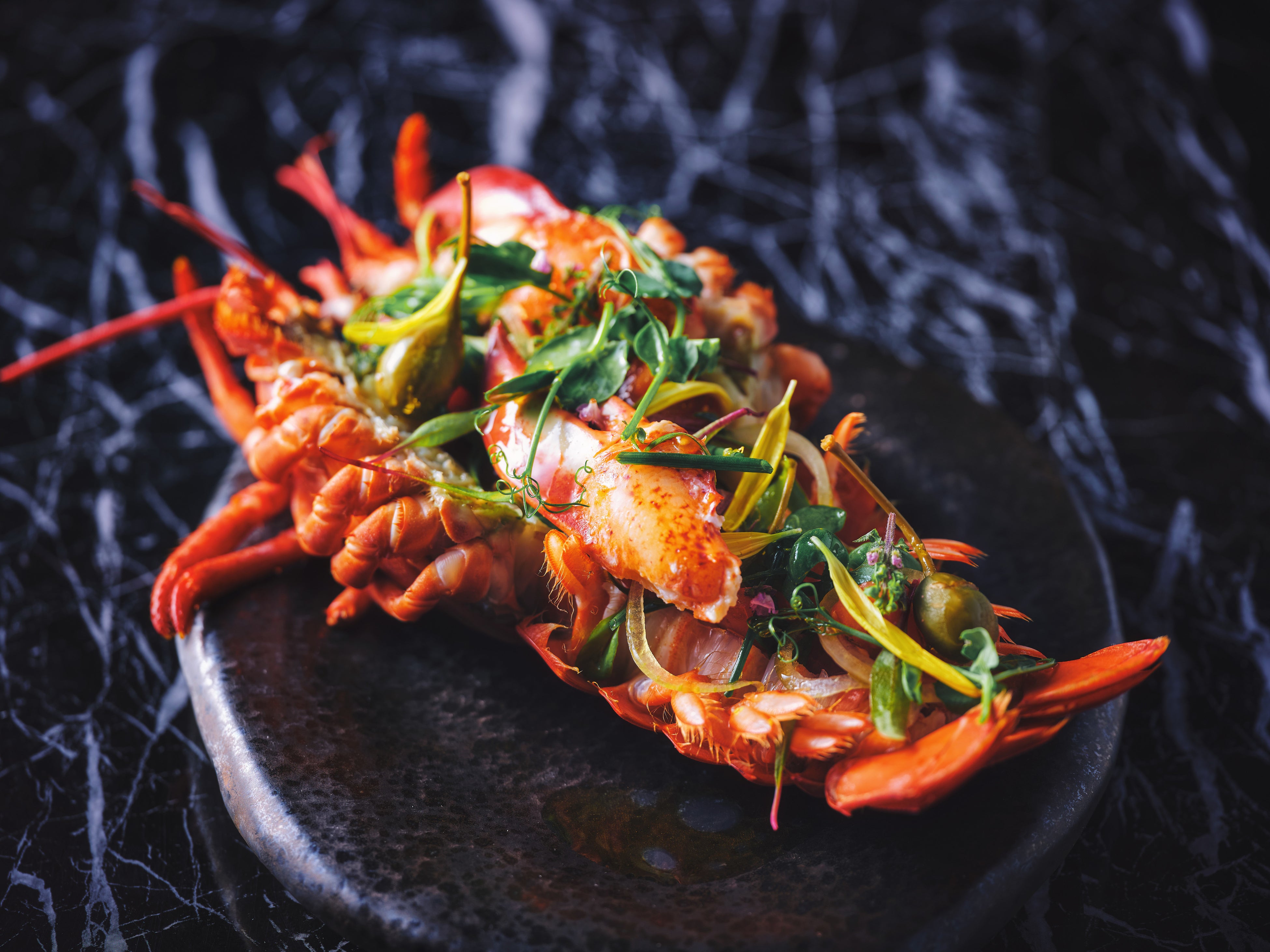 「ロブスターカタラーナ」