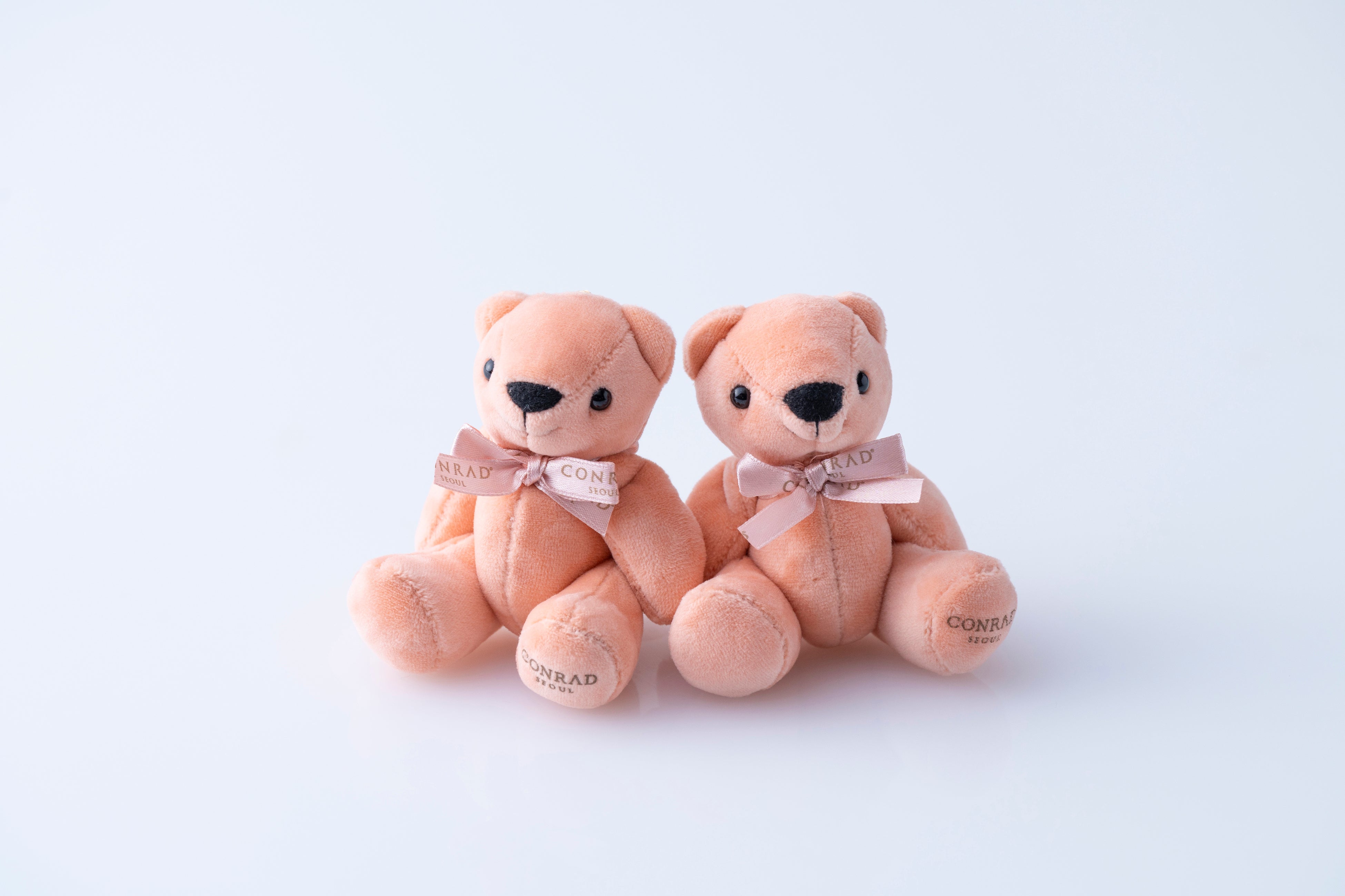 コンラッドソウルベア イメージ