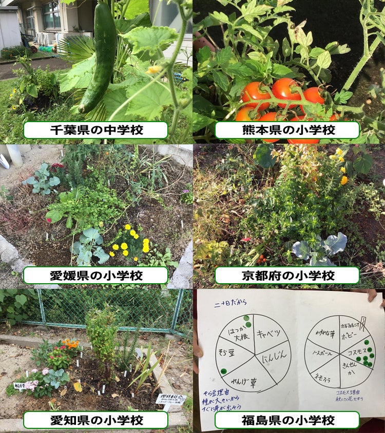 ソニーが提供する生物や価値観の 多様性 を学ぶ環境教育プログラム シネコポータル ワークショップ 開催レポート ソニーグループ株式会社のプレスリリース ソニーが提供する生物や価値観の 多様性 を学ぶ環境教育プログラム シネコポータル ワークショップ 開催レポート ソニーグループ株式会社のプレスリリース