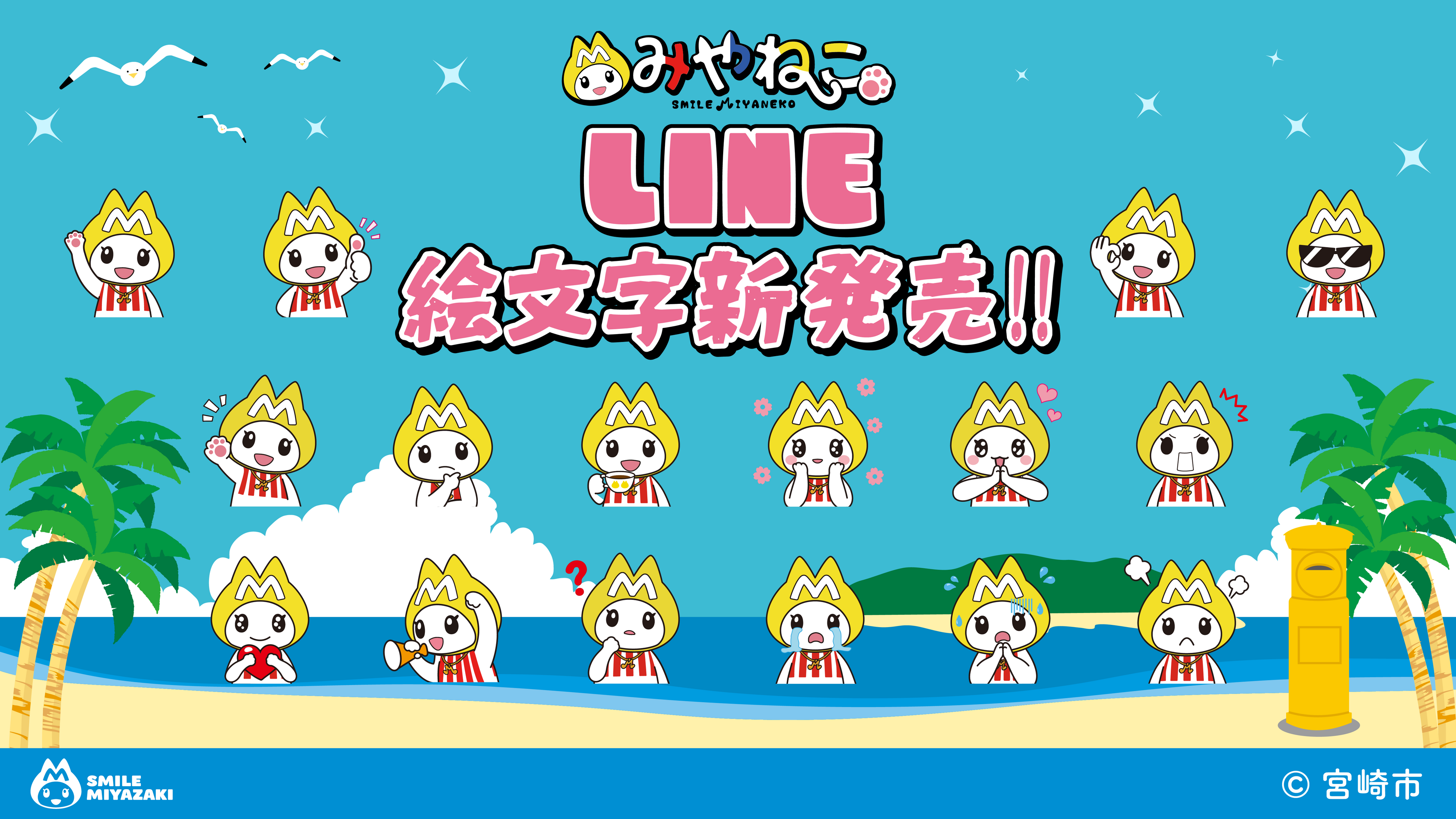 ニュース画像