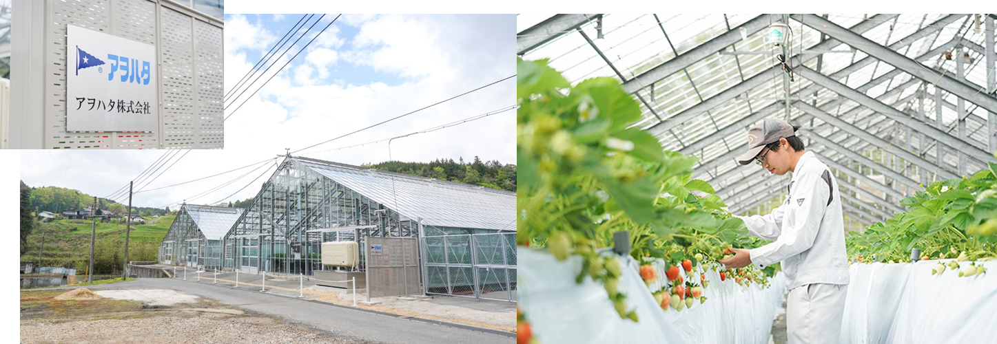 アヲハタ果実研究所