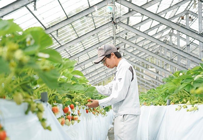 アヲハタ果実研究所