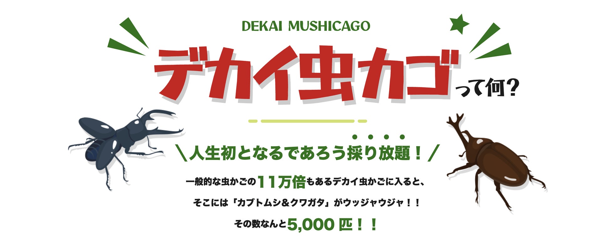 デカイ虫かご ついに開始 イベント初日から子供たちもウッジャウジャ 株式会社オープンハウスグループのプレスリリース デカイ虫かご ついに開始 イベント初日から子供たちもウッジャウジャ 株式会社オープンハウスグループのプレスリリース