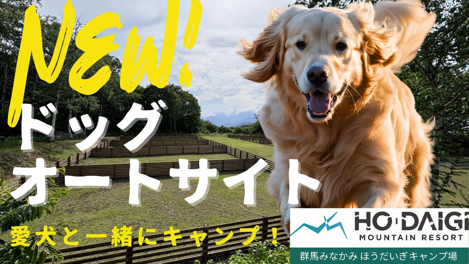 群馬みなかみほうだいぎキャンプ場 ドッグオートサイト開業から2ヶ月 利用者200名+90頭でキャンセル待ちも お湯がでる新炊事場で洗い物もらくらく!