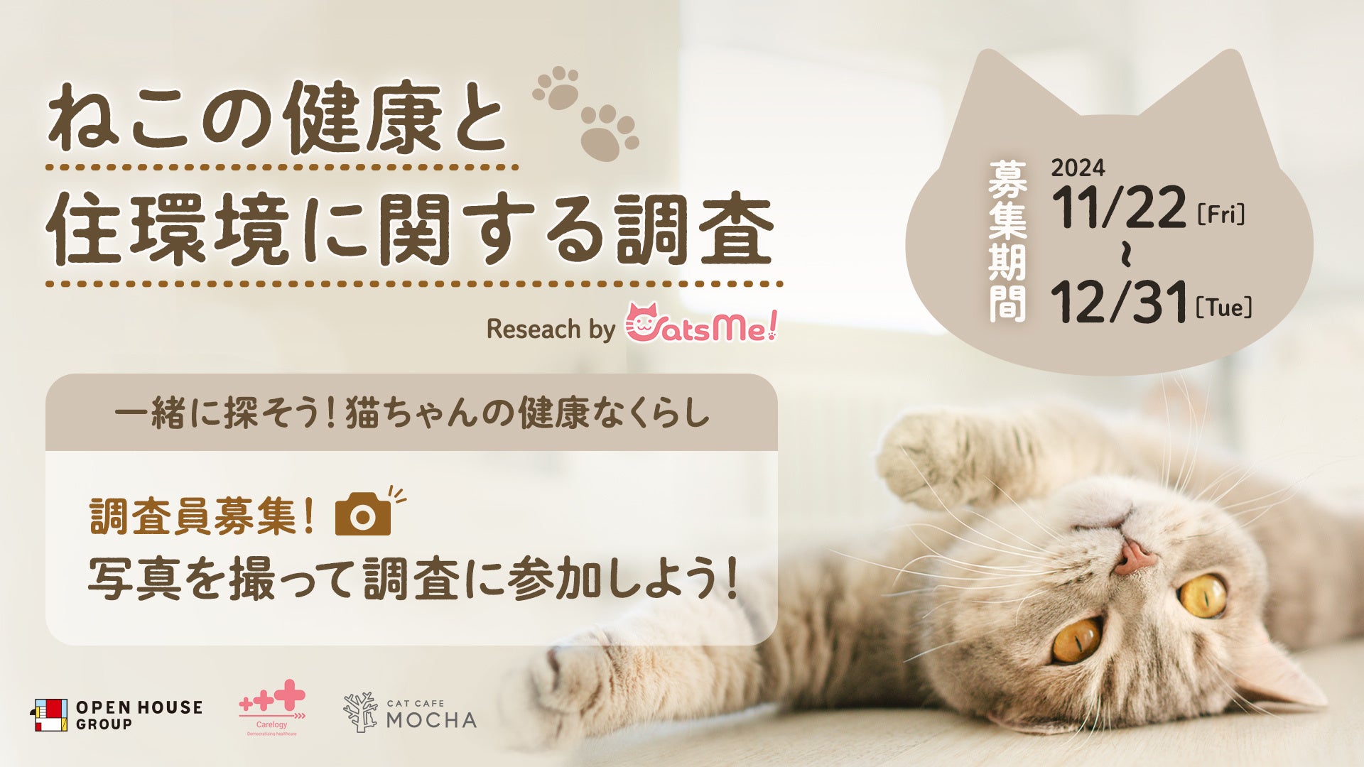 飼い主とねこのしあわせな住環境に関する取り組み開始 専門知識を持つ企業、教授・研究者と共同実施