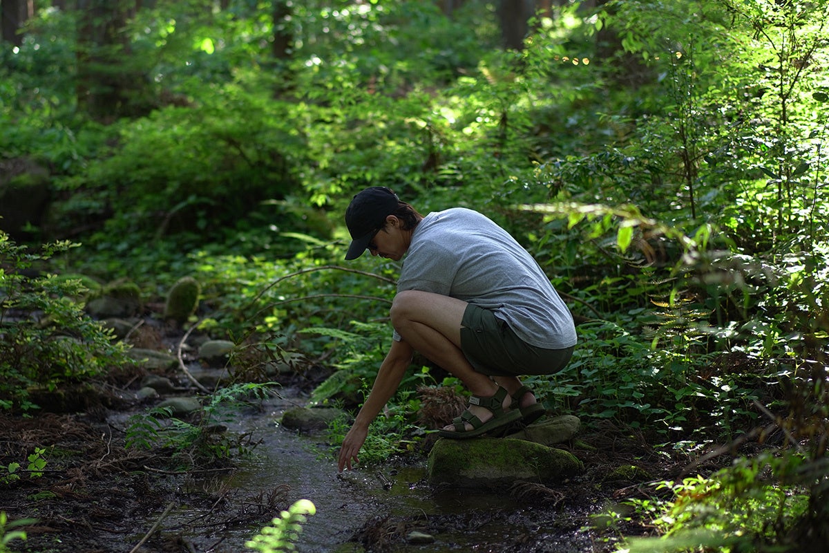 PLAY STRETCH WATERSIDE Shorts