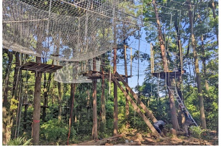 フォレストアドベンチャー 広島 オープンのお知らせ 株式会社フォレストアドベンチャーのプレスリリース フォレストアドベンチャー 広島 オープンのお知らせ 株式会社フォレストアドベンチャーのプレスリリース