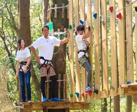 自分でコースを選んで進む新システム！