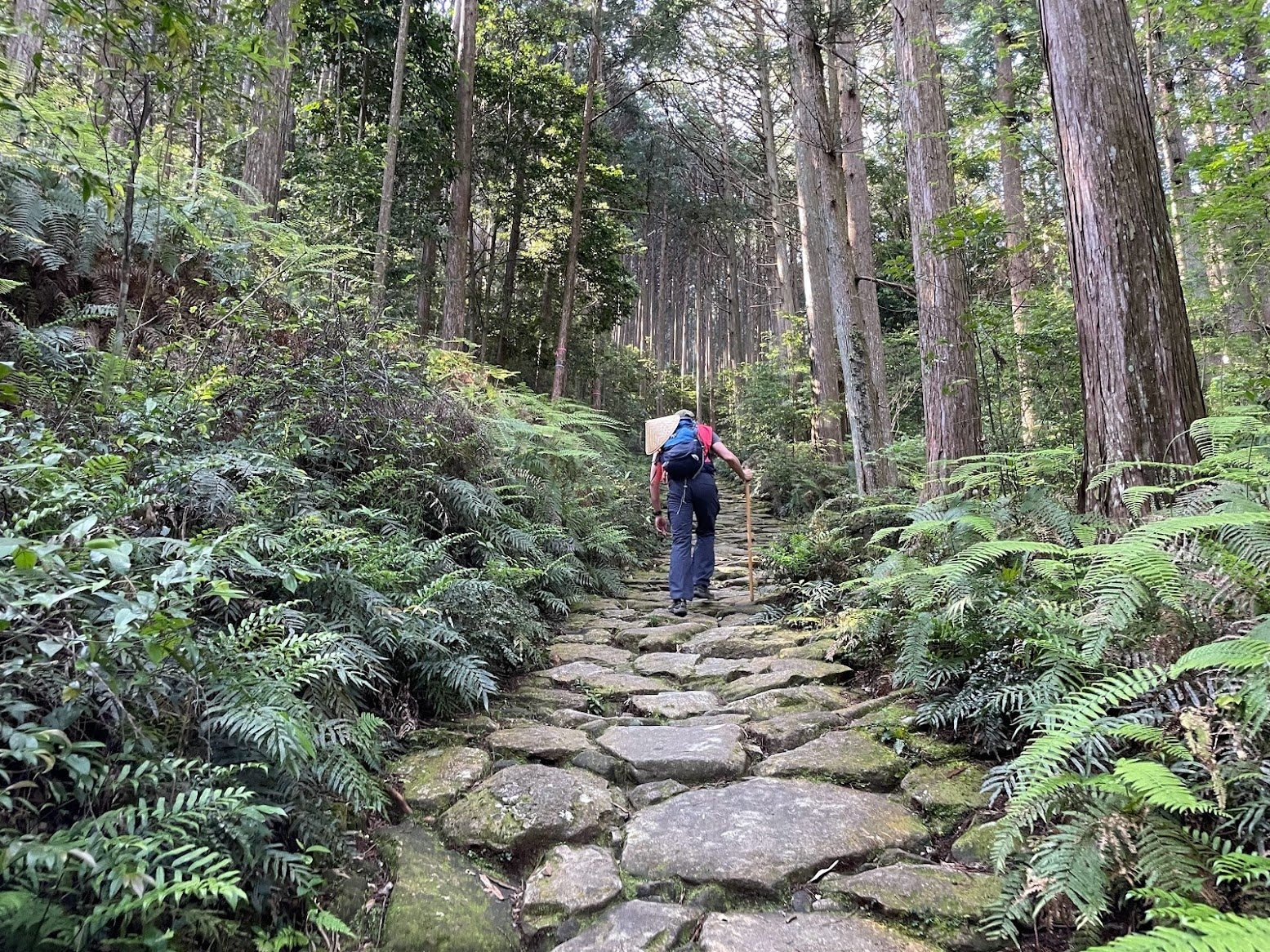 アウトドア体験は欧米では盛んな旅行形態。ウォーキングや異文化体験はソフトアドベンチャーとして幅広い顧客層に人気。