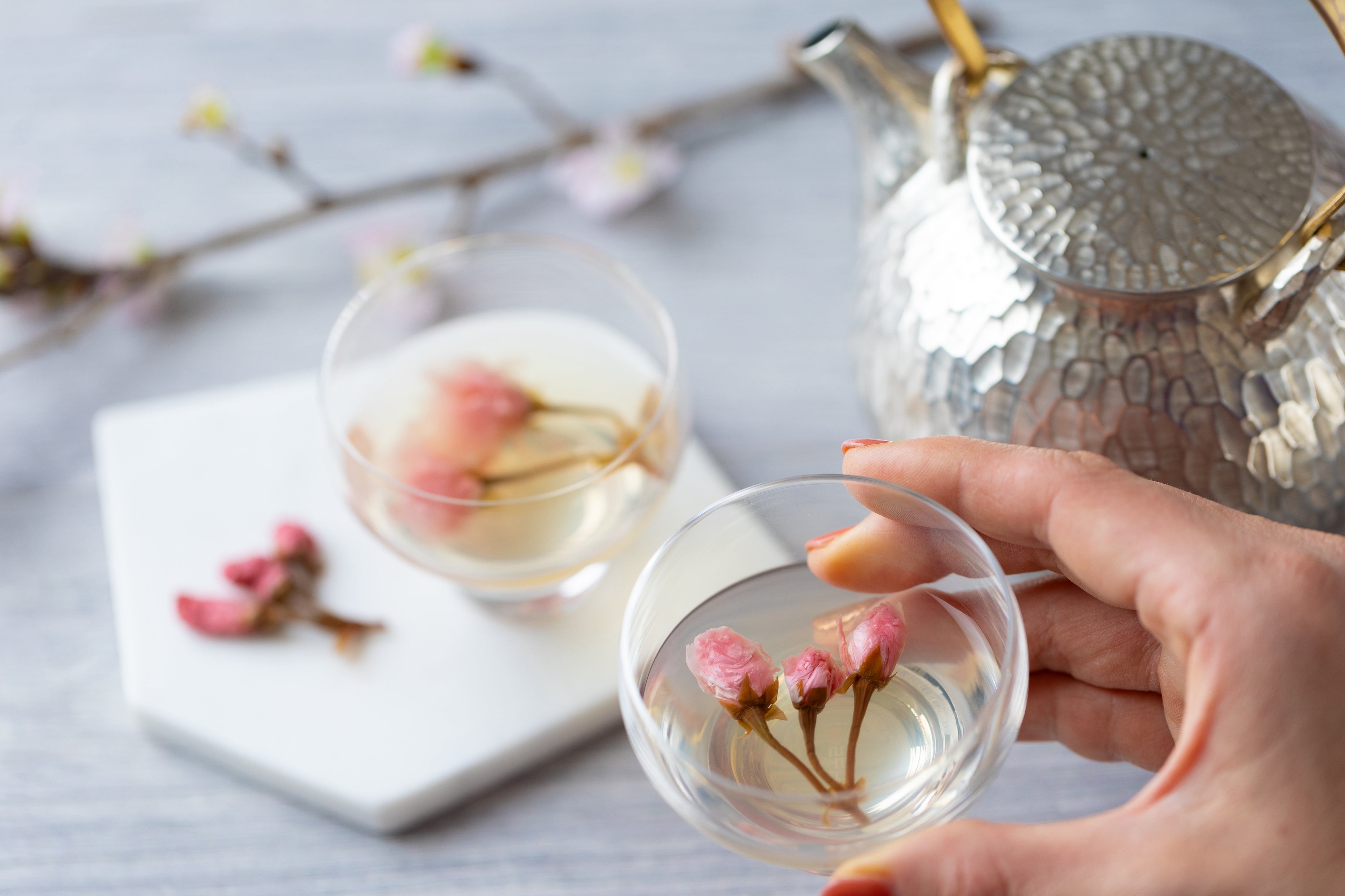 さくらのおだし