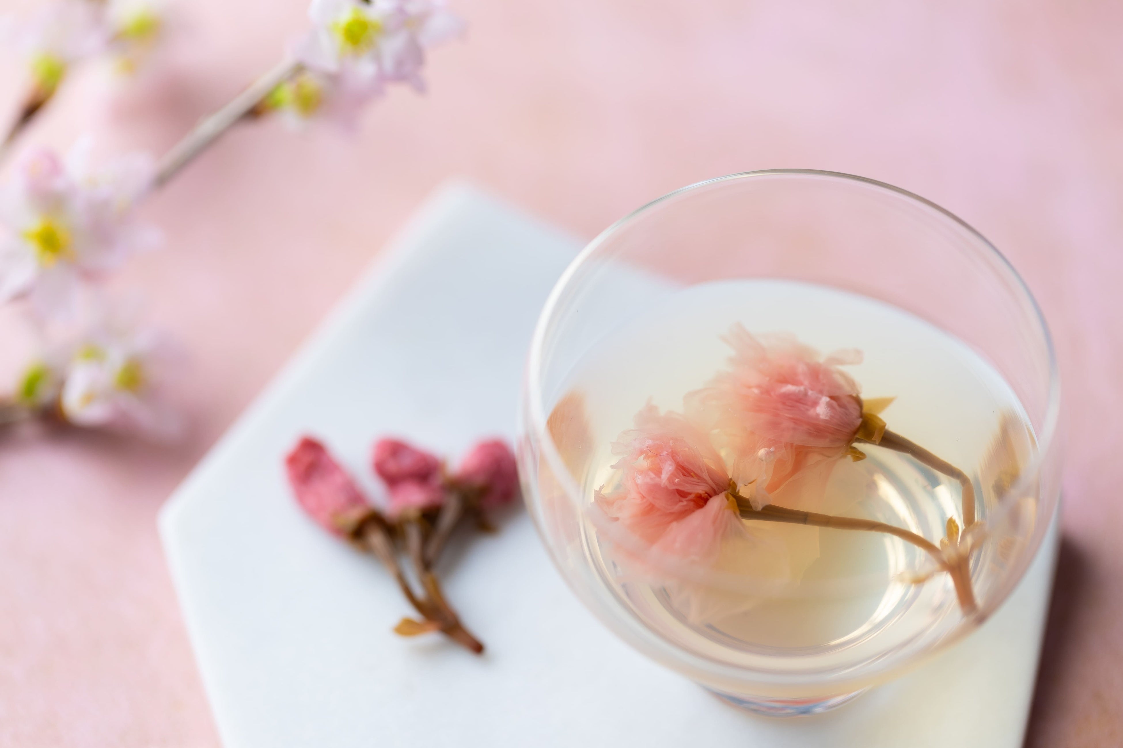 さくらのおだし