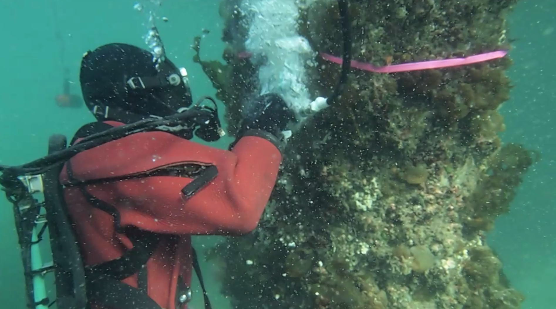 潜水士による「ケレン作業」