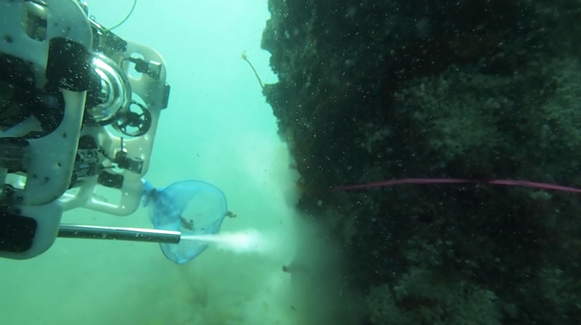 水中ドローンによる「ケレン作業」