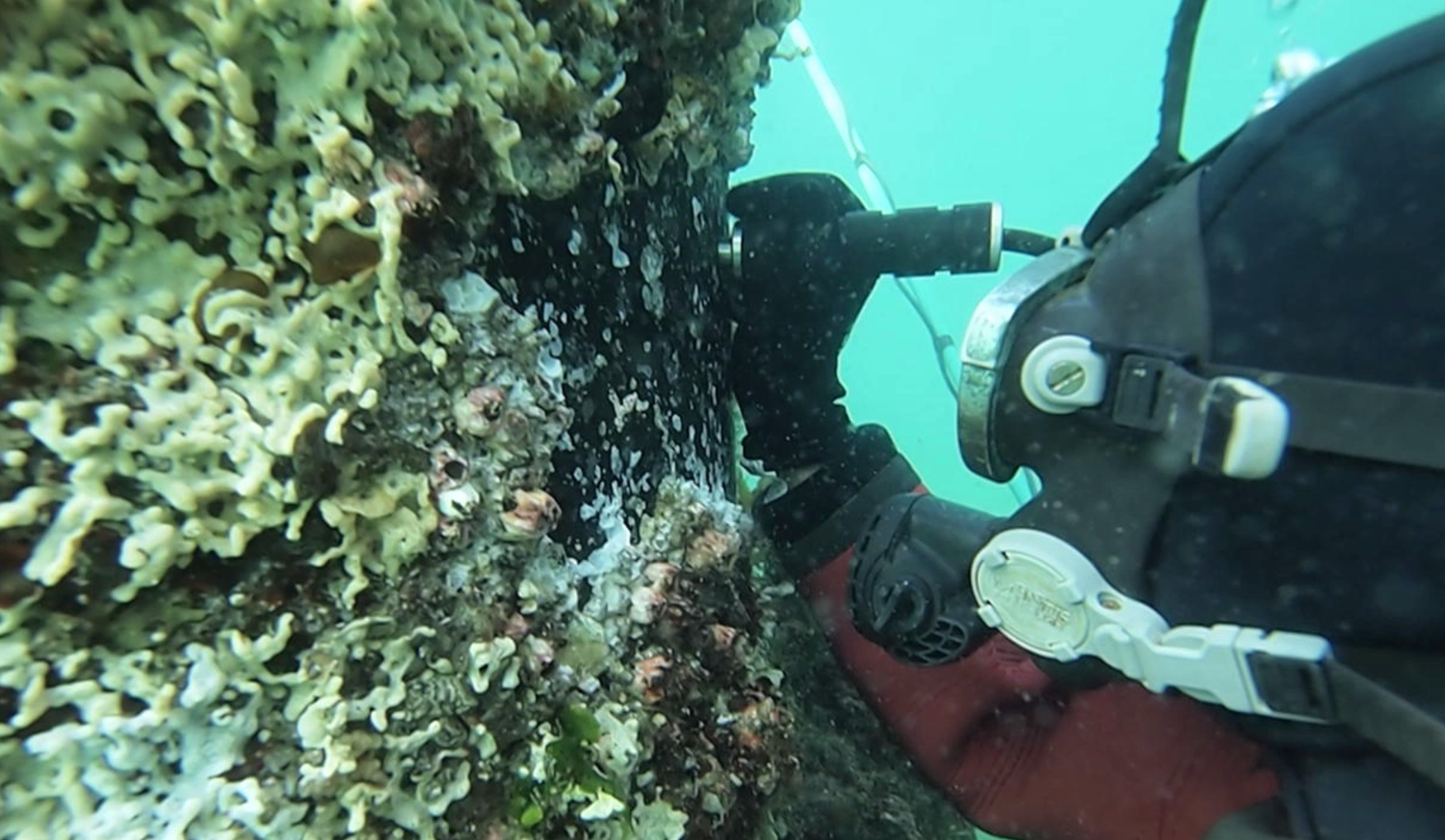 潜水士による「肉厚測定」
