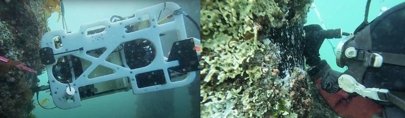 水中ドローン・潜水士による「肉厚測定」