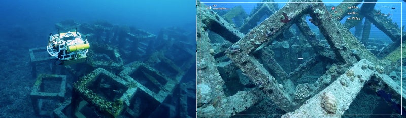 【イメージ写真】左：完全遠隔無線制御型水中ドローン　右：水中ドローン撮影（提供：NTT）
