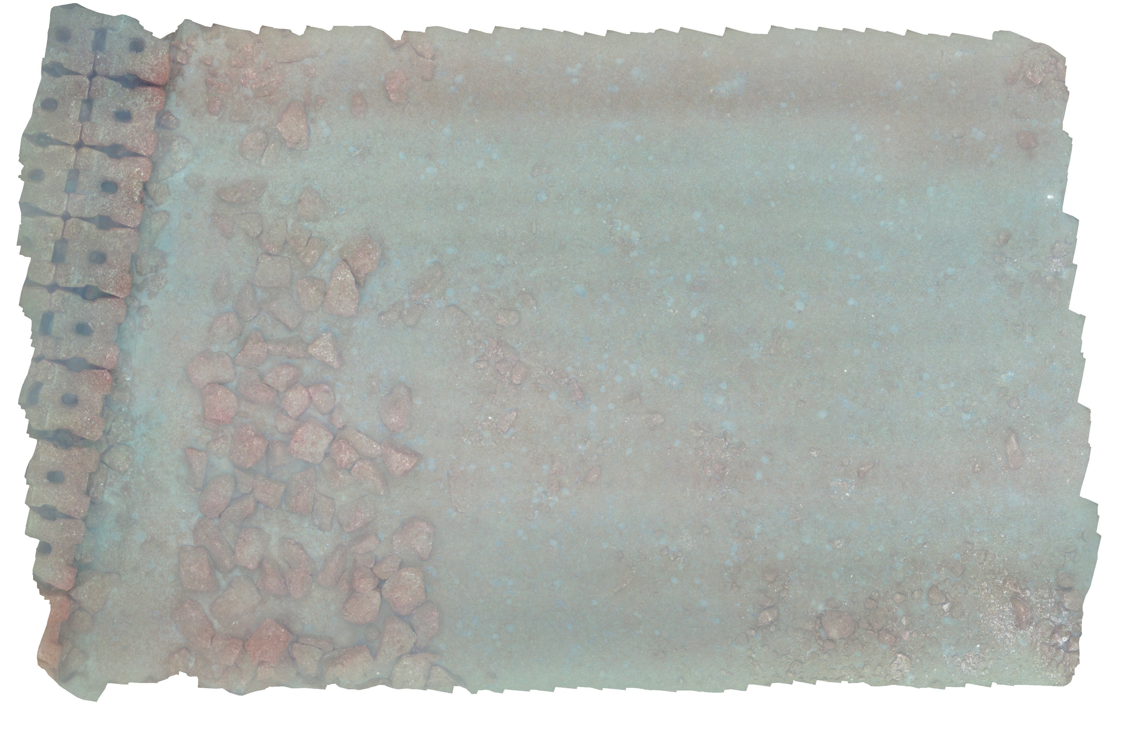 海底のオルソ画像