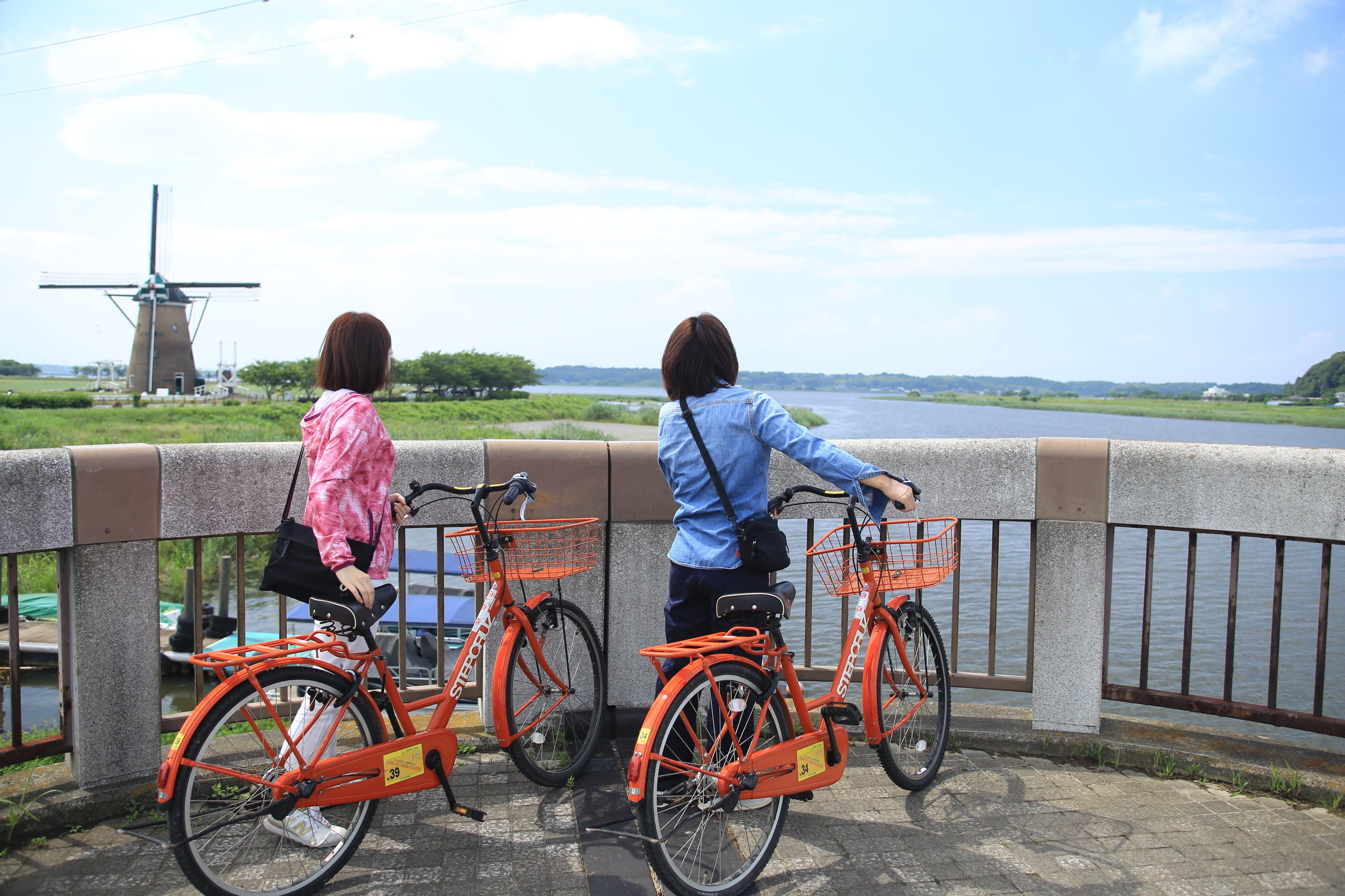 千葉県佐倉市 チューリップフェスタ22 開催期間を4月24日 日 まで延長 佐倉市のプレスリリース