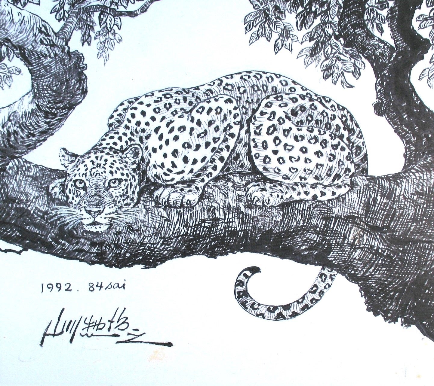 山川惣治 《豹》 平成4年