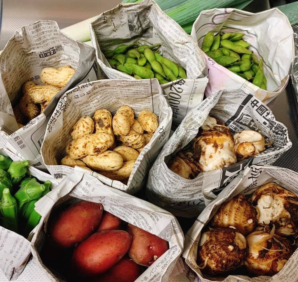 オーガニック野菜