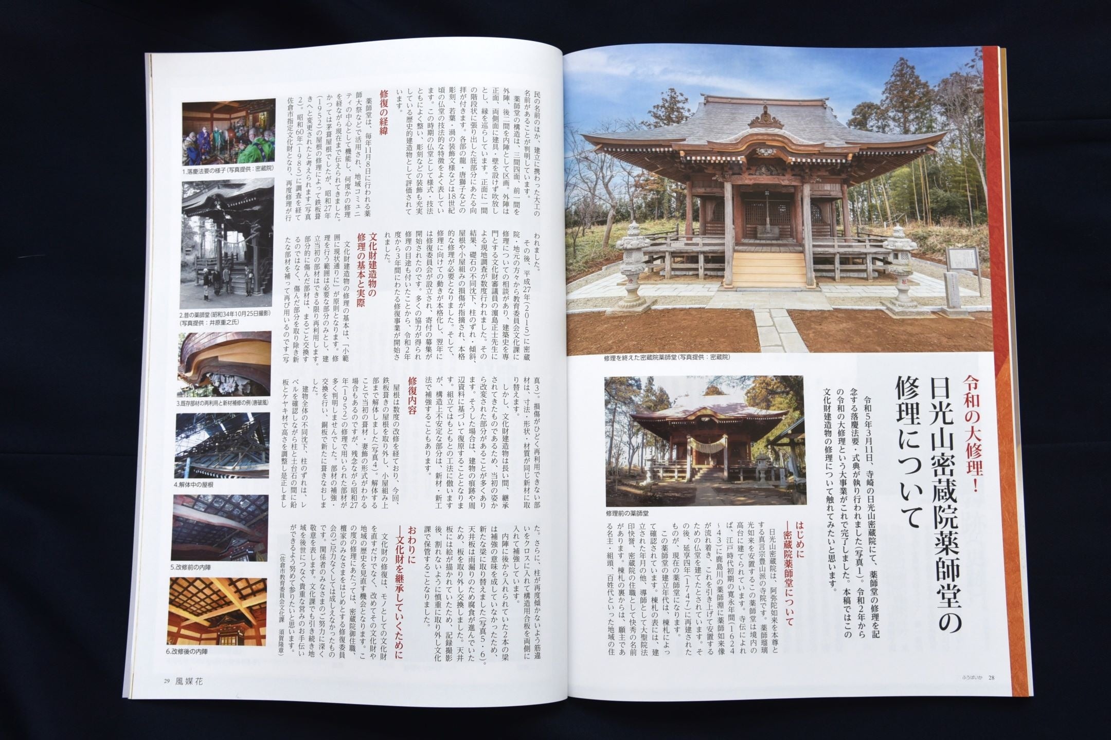 千葉県佐倉市】佐倉市文化芸術アーカイブ『風媒花』、最新刊を
