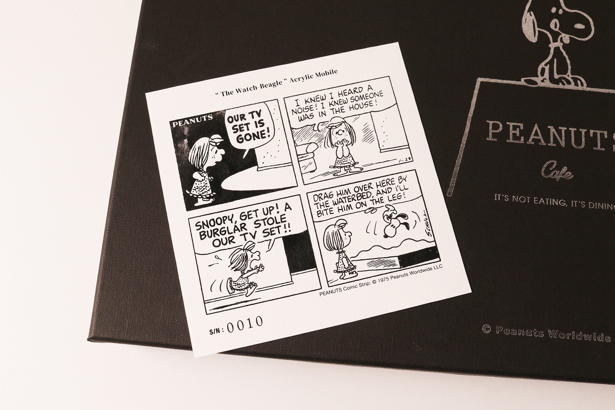 ※コンセプトコミックが入ったシリアルナンバーカード