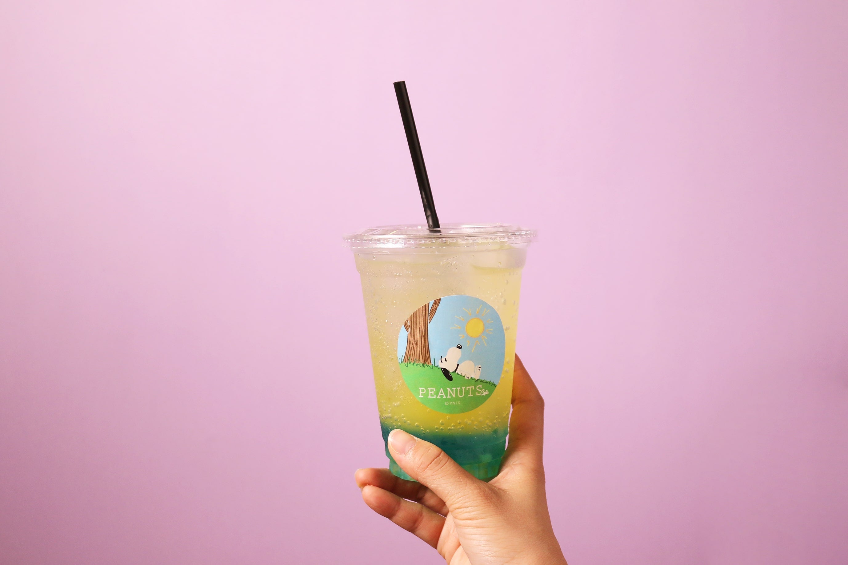 ※シールデザインは異なる場合がございます。