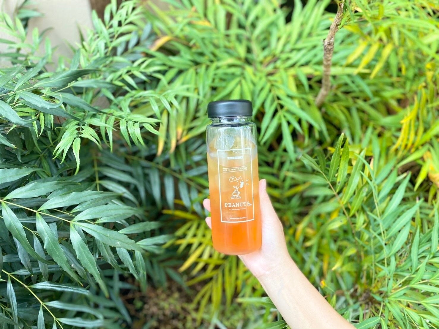 ※画像はイメージです。