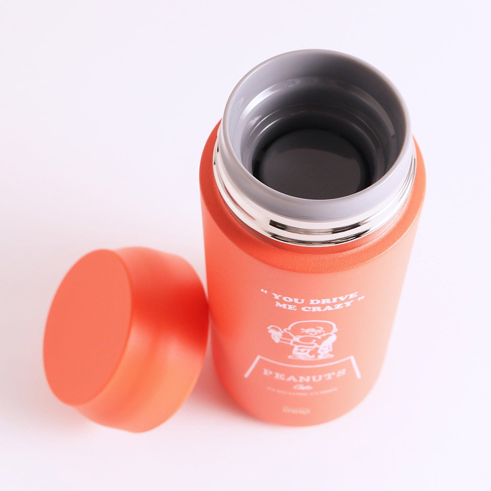 © 2023 Peanuts Worldwide LLC