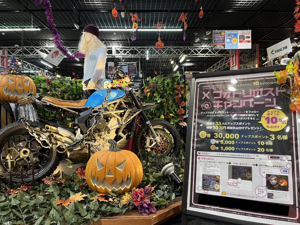 ※ 参考:2025年10月実施「NAPS YOASOBI night 24 -halloween-」