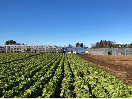 生活クラブ虹と風ファーム 八街発電所（ふぁそらん）