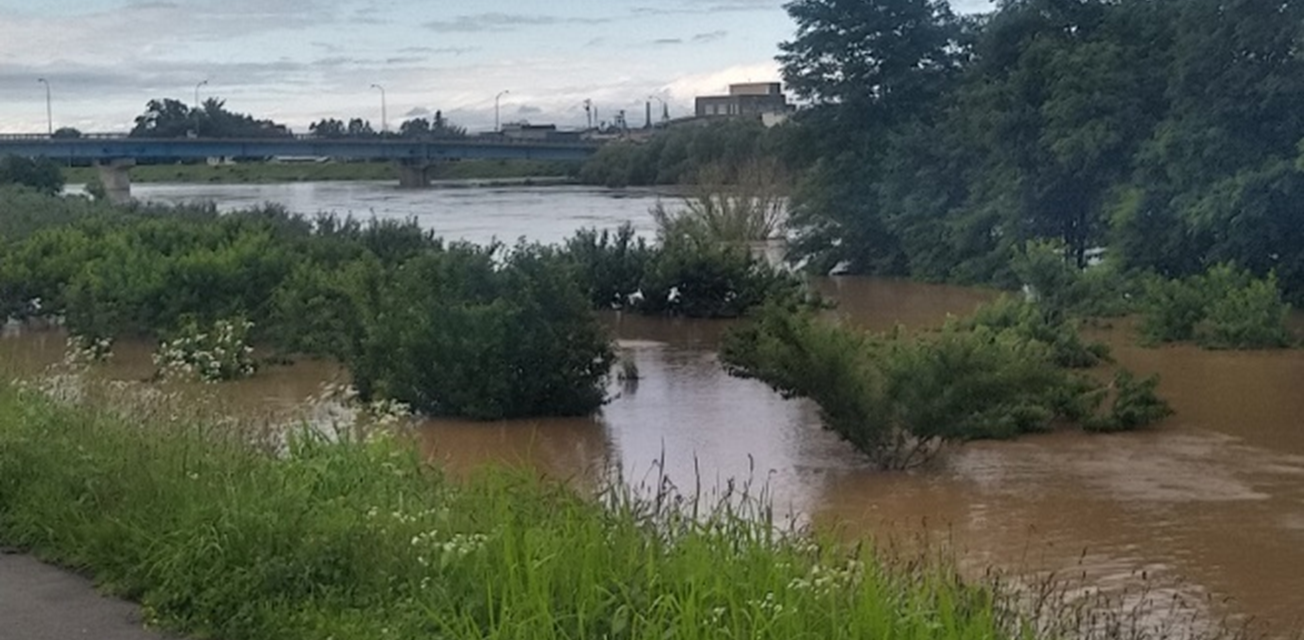 冠水した園地(2022年８月撮影)