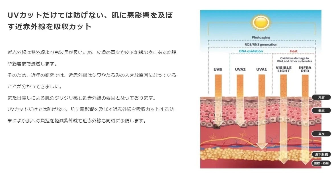 紫外線と近赤外線 両方の光をカットする新素材