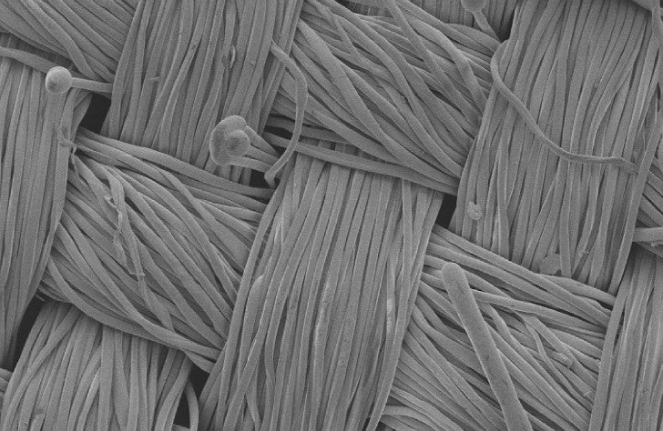 布地の拡大写真／電子顕微鏡にて