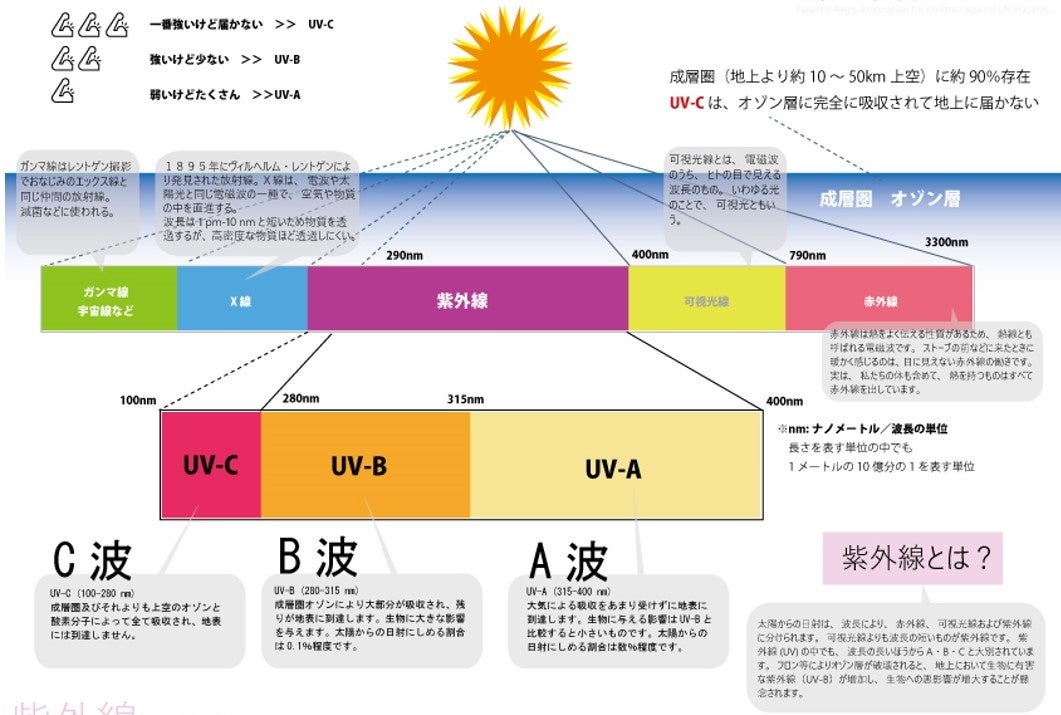 紫外線について　株式会社ピーカブー