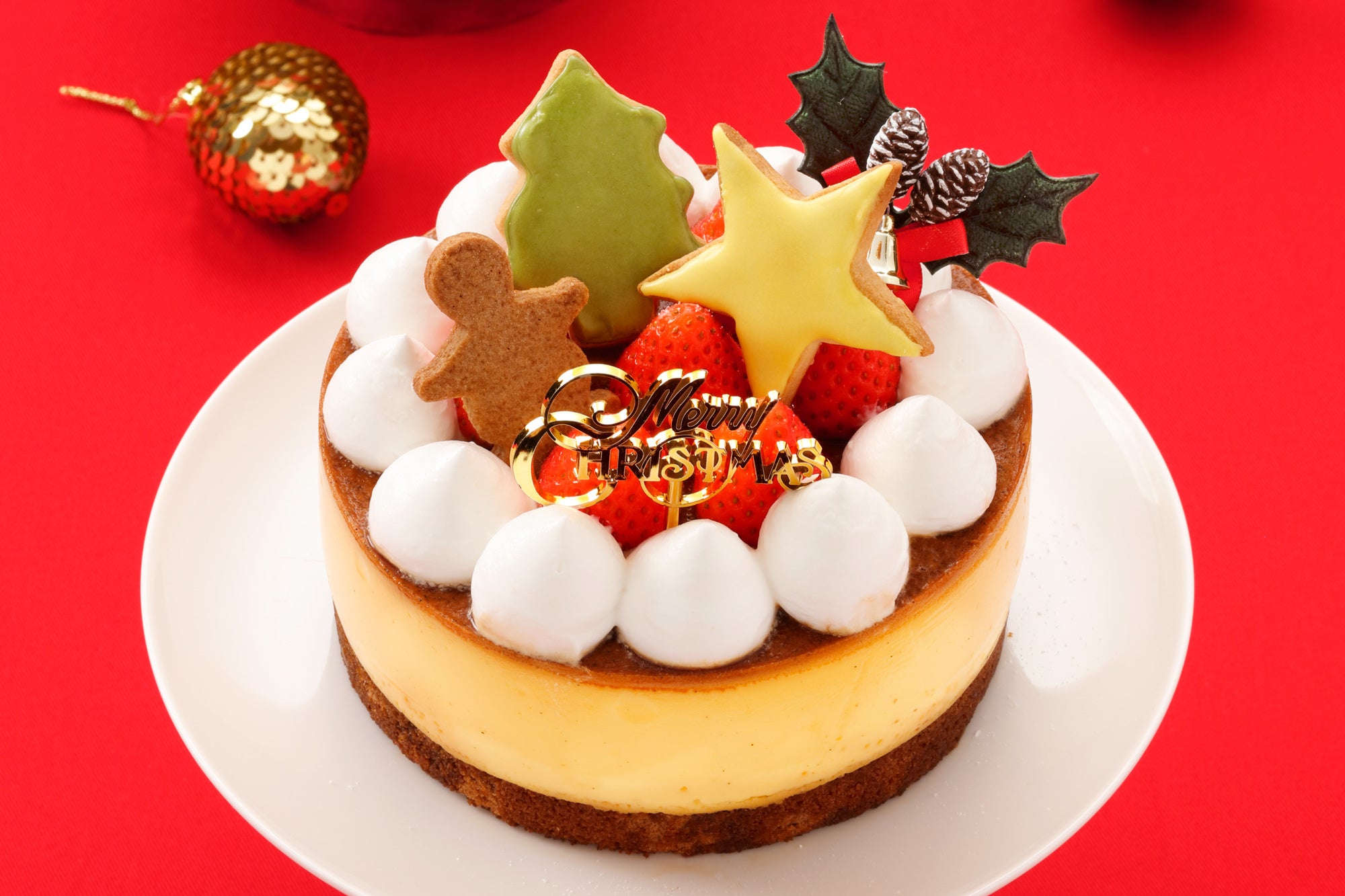 飾っても可愛い【クリスマスクッキー】のプレゼント