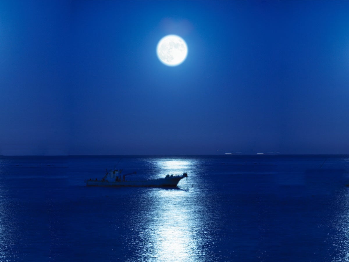 今年の スーパームーン は7月14日 13 15日の期間は月見酒を振る舞います 株式会社h P D コーポレーションのプレスリリース 今年の スーパームーン は7月14日 13 15日の期間は月見酒を振る舞います 株式会社h P D コーポレーションのプレスリリース