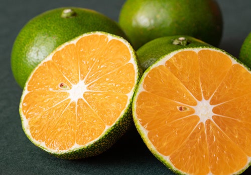 仲田さんの青切り温州みかん