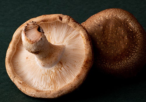 名護さんの椎茸