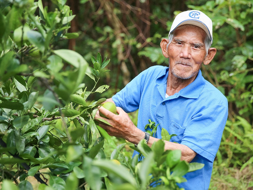 94歳の現役ハルサー（農家）仲田豊好さん。みかん栽培の達人