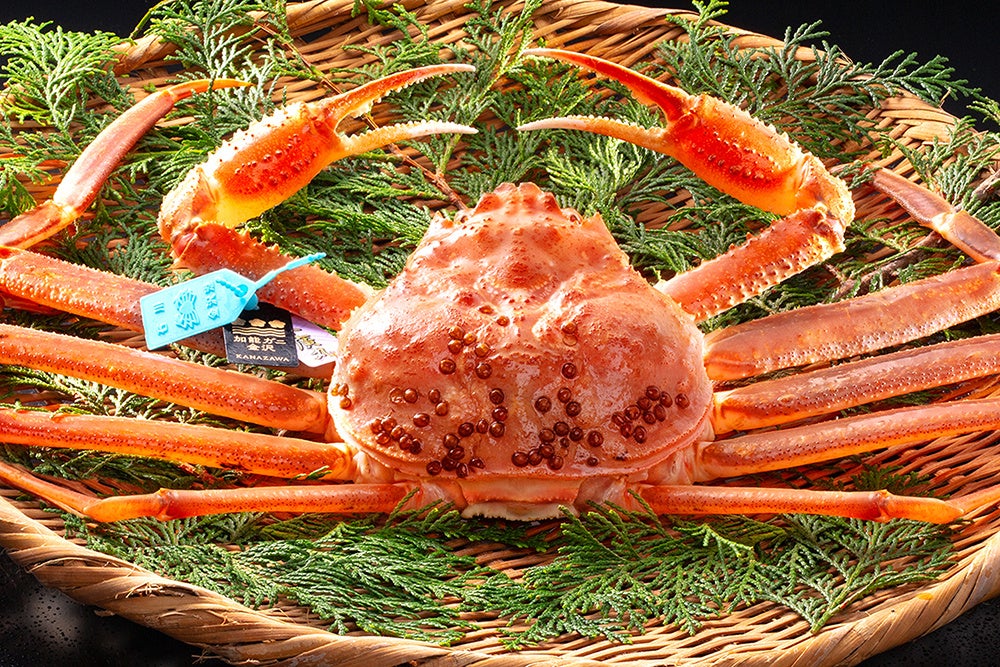 水月焼き・蓮の蟹皿 水月焼き・蓮の蟹皿 水月焼き・蓮の蟹皿 2025年
