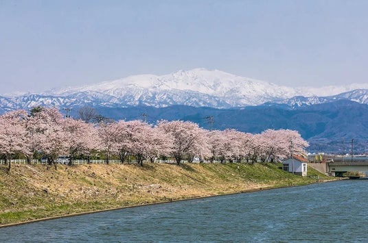 加賀・山中温泉に咲く【3,000本の桜めぐり】春の旬「桜鯛」、館内利用券 or ガソリン券2,000円分、さくら巡りマップをプレゼント 加賀・山中温泉に咲く【3,000本の桜めぐり】春の旬「桜鯛」、館内利用券 or ガソリン券2,000円分、さくら巡りマップをプレゼント