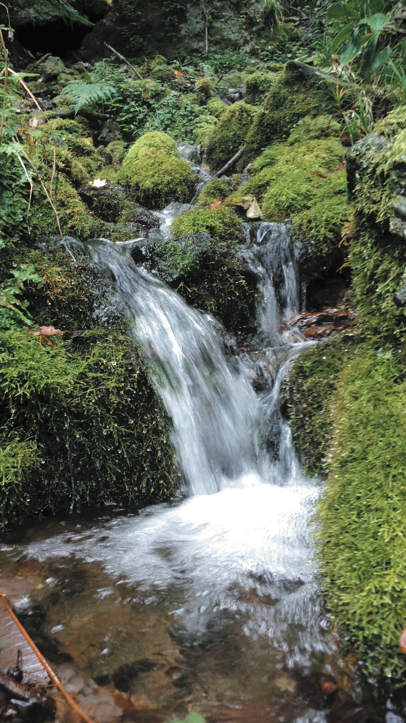 南魚沼の水源（イメージ）