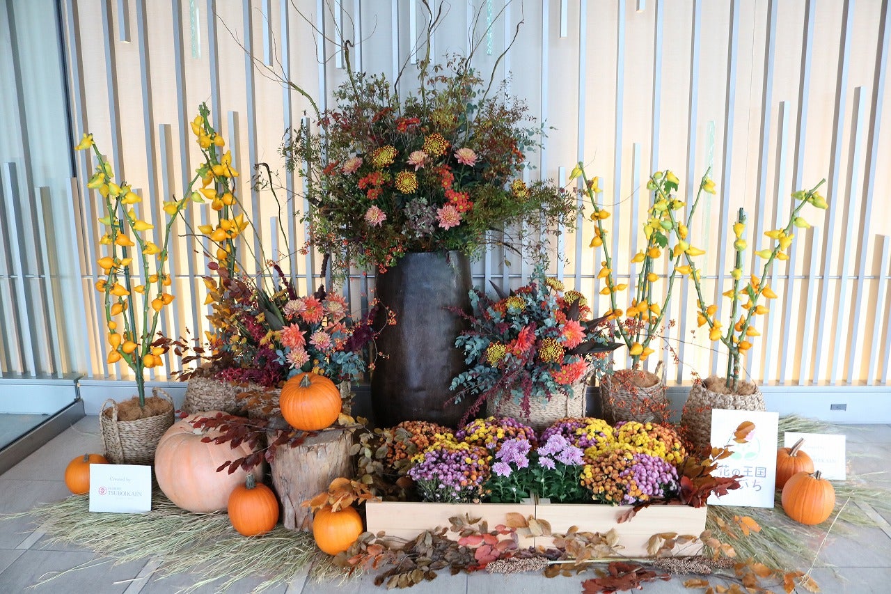 2021年10月25日（月）～11月1日（月）の展示