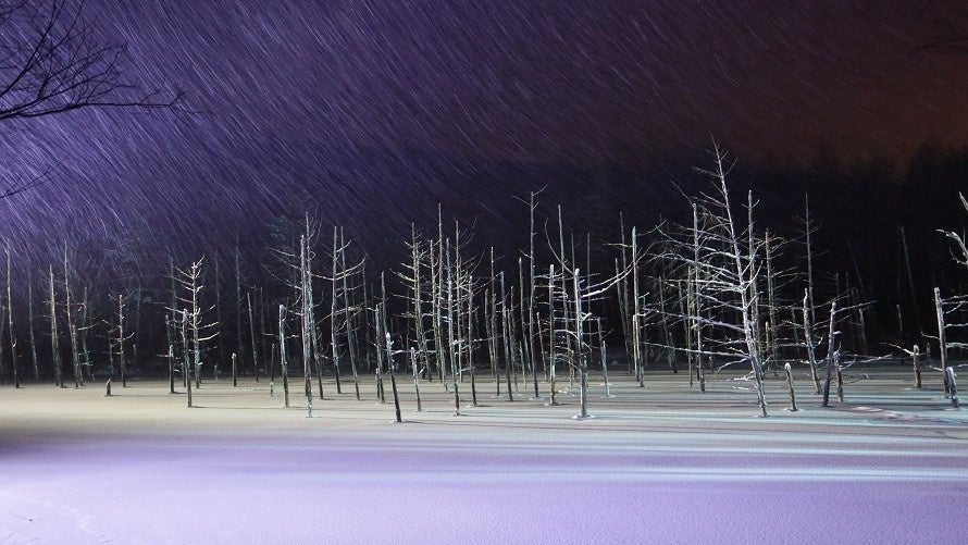 美瑛町「青い池」