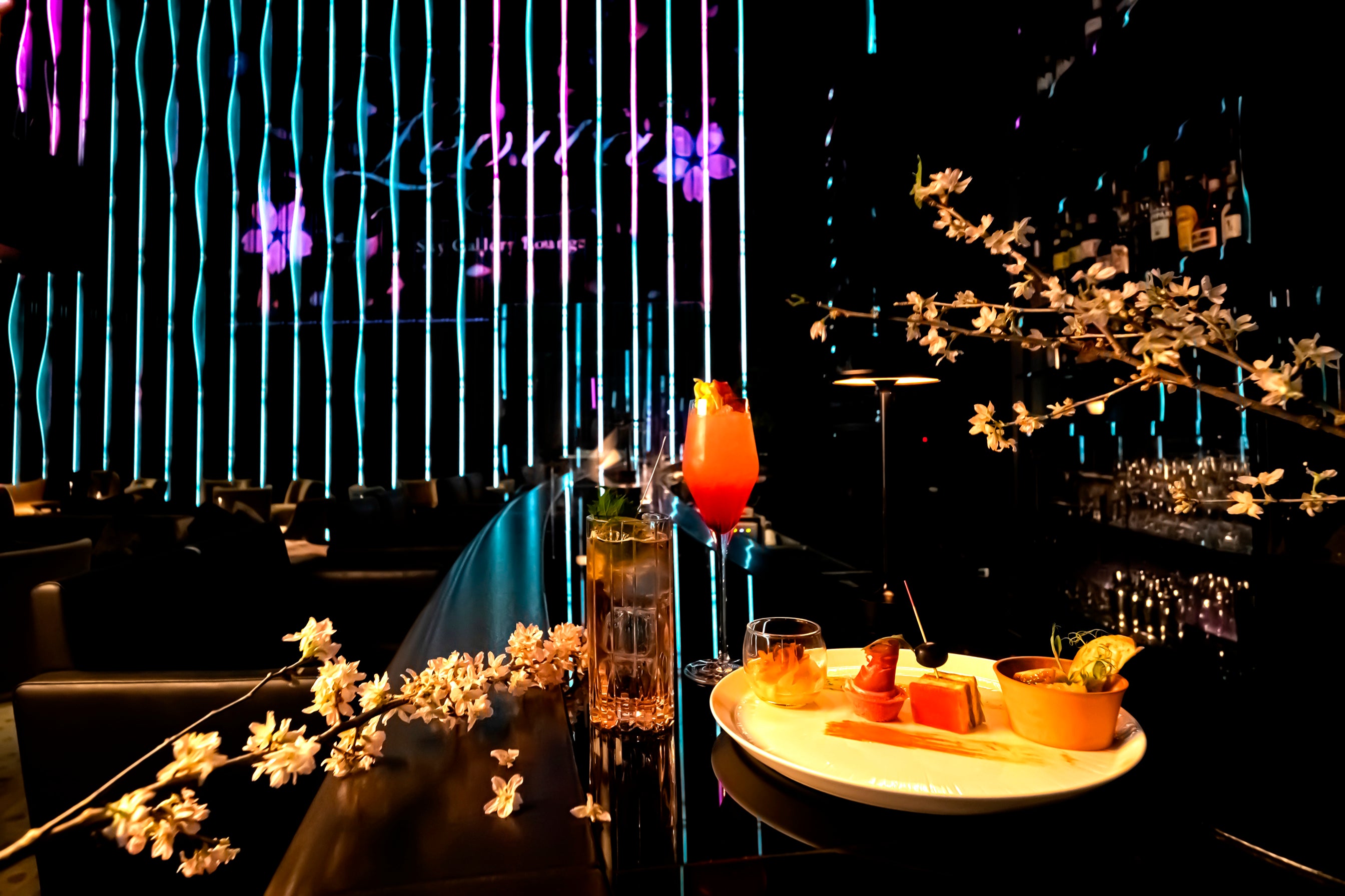 Gallery Night Out 夜桜 イメージ