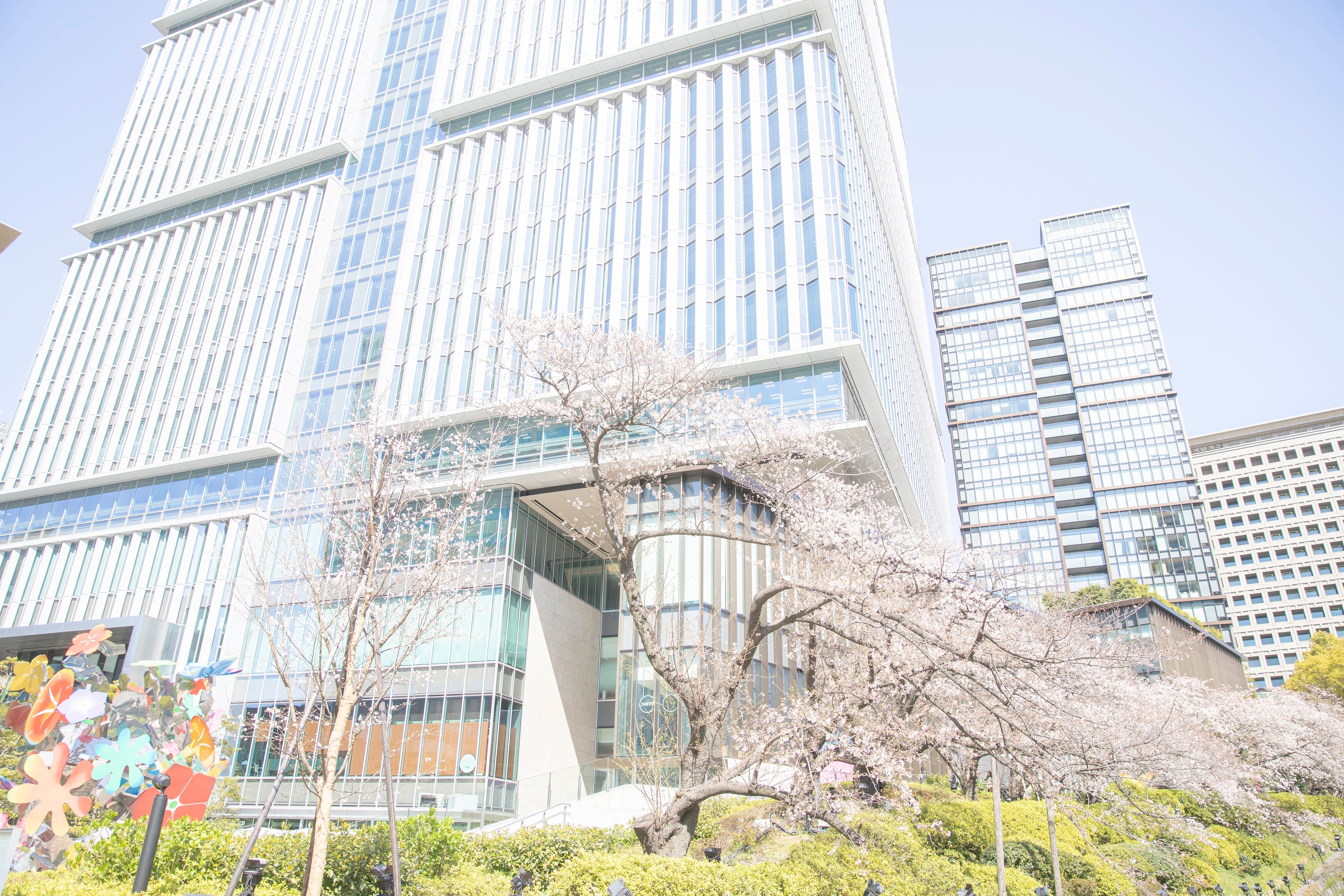 東京ガーデンテラス紀尾井町と桜